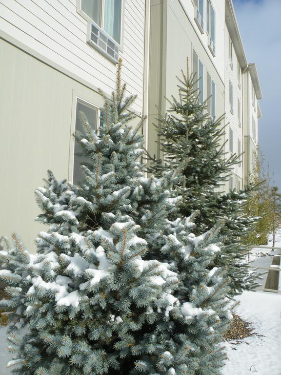 Bakken Airport Xwa Hotel & Studios Williston Bagian luar foto